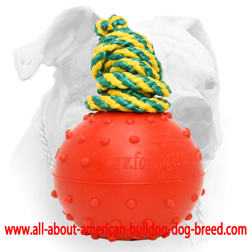 Water rubber ball with doted surface for American Bulldog