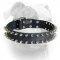 (image for) Leather American Bulldog collar with 2 rows of nickel spikes