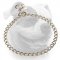 (image for) Stainless steel choke American Bulldog collar with quality label