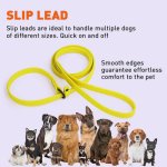 (image for) Biothane Waterproof Slip Lead_10
