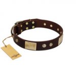 (image for) "Middle Age" FDT Artisan Brown Leather American Bulldog Collar with Old Bronze-Plated Engraved Flowers and Large Plates