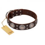 (image for) "Imperial Legate" FDT Artisan Brown Leather American Bulldog Collar with Big Round Plates
