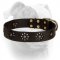 (image for) "Spring flowers" Leather American Bulldog Collar
