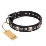 (image for) 'Space Walk' FDT Artisan Black Leather American Bulldog Collar with Gorgeous Adornments