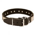(image for) American Bulldog leather dog collar & vintage massive plates