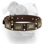 (image for) Exclusively decorated leather American Bulldog collar with massive vintage plates and pyramids
