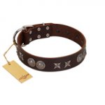 (image for) "Antique Style" Designer Handmade FDT Artisan Brown Leather American Bulldog Collar