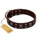 (image for) "Menacing Allure" FDT Artisan Brown Leather American Bulldog Collar Embellished with Silvery Crossbones and Square Studs