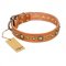 (image for) "Feast of Luxury" FDT Artisan Tan Leather American Bulldog Collar with Old Bronze Look Circles