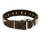 (image for) American Bulldog leather dog collar & vintage massive plates