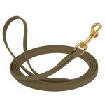 (image for) Biothane Leash 10 ft w/ Brass Hardware_1