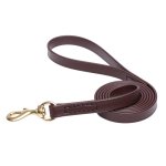 (image for) Red Waterproof American Bulldog Leash Made of Biothane_1