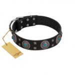 (image for) "Boundless Blue" FDT Artisan Black Leather American Bulldog Collar with Chrome Plated Brooches and Square Studs