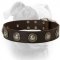 (image for) Gorgeous extra wide leather American Bulldog collar