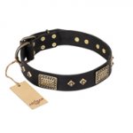 (image for) "Jewel Passion" FDT Artisan Fashionable Black Leather American Bulldog Collar