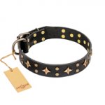 (image for) 'A La Mode' FDT Artisan Handcrafted Black Leather American Bulldog Collar