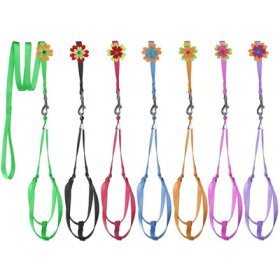 (image for) Step-In Nylon Harness + Optional Flower Leash