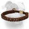 (image for) No ordinary desing braided leather choke American Bulldog collar
