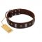 (image for) "War Chief" FDT Artisan Genuine Brown Leather American Bulldog Collar with Skulls and Plates