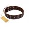 (image for) "Skull Valley" Handcrafted FDT Artisan Brown Leather American Bulldog Collar with Skulls
