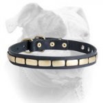 (image for) Leather Special American Bulldog Collar With Plates
