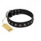 (image for) "Black Knight" Handmade FDT Artisan Black Leather American Bulldog Collar with Silver-Like Studs