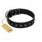 (image for) "Flower Rhapsody" FDT Artisan Premium Quaulity Black Leather American Bulldog Collar