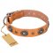 (image for) "Twinkle Twinkle" FDT Artisan Incredible Studded Tan Leather American Bulldog Collar