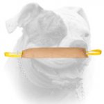 (image for) Huge American Bulldog leather tug toy with 2 handles