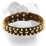 (image for) Black Leather Spiked Studded Dog Collar for American Bulldog
