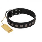 (image for) "Silent Star" Handmade FDT Artisan Designer Black Leather American Bulldog Collar with Engraved Plates