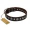(image for) "Victory Ode" FDT Artisan Brown Leather American Bulldog Collar with Silver-like Plated Decorations