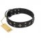 (image for) "Star Excitement" Modern FDT Artisan Black Leather American Bulldog Collar with Studs and Stars