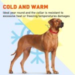 (image for) Biothane Martingale Collar_11