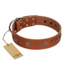 (image for) "Sweet Caramel" Designer FDT Artisan Tan Leather American Bulldog Collar