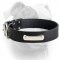 (image for) Wide leather collar with ID-tag for American Bulldog