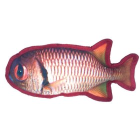 (image for) 11" Tropical Snapper