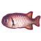 (image for) 11" Tropical Snapper