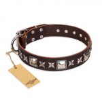 (image for) 'Perfect Impression' FDT Artisan American Bulldog Brown Leather Dog Collar with Silvery Square Studs - 1 1/2 inch (40 mm) Wide