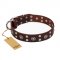 (image for) "Pirate Treasure" FDT Artisan Exciting Brown Leather American Bulldog Collar with Studs