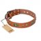 (image for) "Stunning Dress" FDT Artisan Tan Leather American Bulldog Collar with Old Bronze Look Plates and Studs