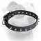 (image for) Elegant leather American Bulldog collar with 1 row of nickel spikes