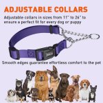 (image for) Biothane Adjustable Martingale Collar with Quick Release Buckle_1