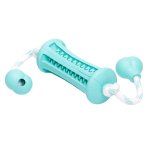(image for) Green Training Dental Toy With Handles