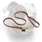 (image for) Latigo Braided oily Leather Waist Lead for American Bulldog