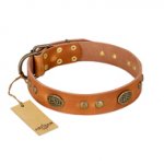 (image for) "Sun Beams" FDT Artisan Tan Leather American Bulldog Collar with Decorations
