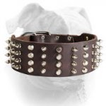 (image for) Leather American Bulldog Collar with Studs and Spikes
