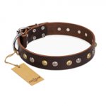 (image for) "Rare Flower" FDT Artisan Brown Leather American Bulldog Collar Adorned with Old-look Hemisphere Studs