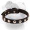 (image for) No-ordinary style studded leather American Bulldog collar