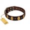 (image for) "Crystal Mirror" FDT Artisan Handmade Brown Leather American Bulldog Collar - 1 1/2 inch (40 mm) Wide